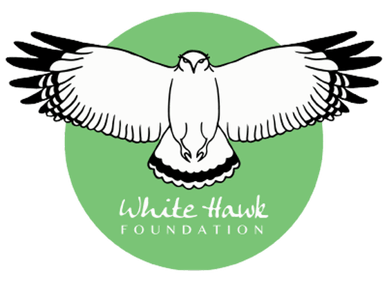 white hawk foundation